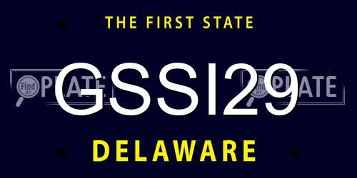 GSSI29 Delaware License Plate