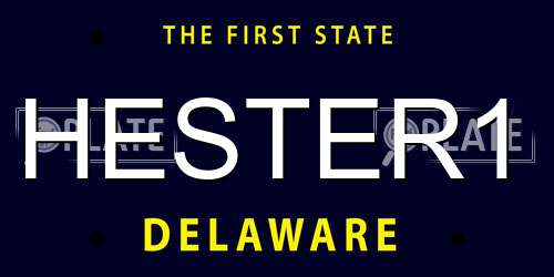 HESTER1 Delaware License Plate