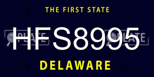 HFS8995 Delaware License Plate
