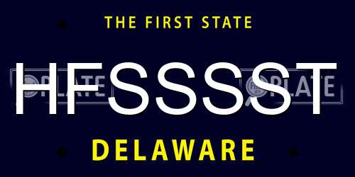 HFSSSST Delaware License Plate