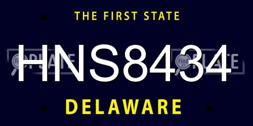 HNS8434 Delaware License Plate