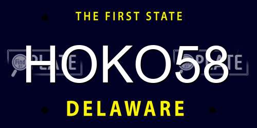 HOKO58 Delaware License Plate