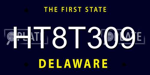 HT8T309 Delaware License Plate