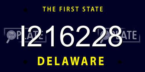 I216228 Delaware License Plate