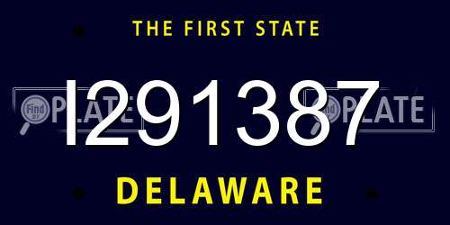 I291387 Delaware License Plate
