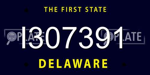 I307391 Delaware License Plate