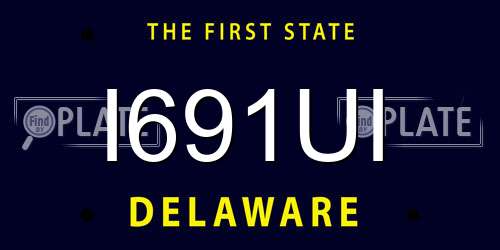 I691UI Delaware License Plate