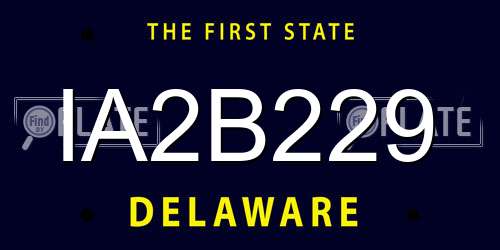 IA2B229 Delaware License Plate