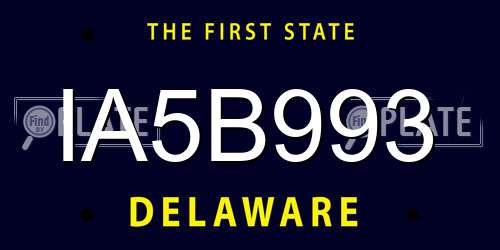 IA5B993 Delaware License Plate