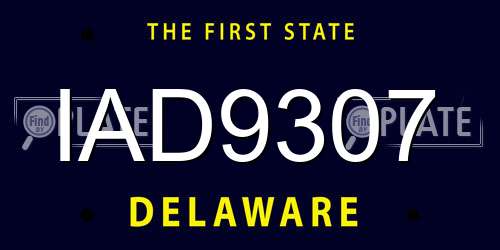 IAD9307 Delaware License Plate