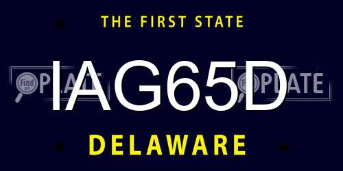 IAG65D Delaware License Plate