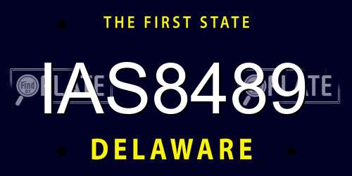 IAS8489 Delaware License Plate