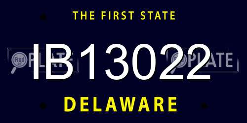 IB13022 Delaware License Plate