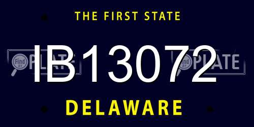 IB13072 Delaware License Plate
