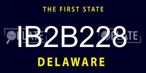 IB2B228 Delaware License Plate