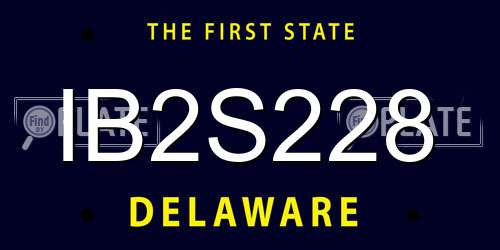 IB2S228 Delaware License Plate