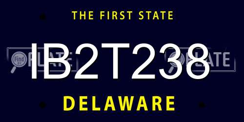IB2T238 Delaware License Plate