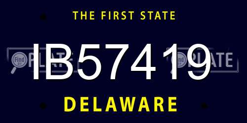 IB57419 Delaware License Plate