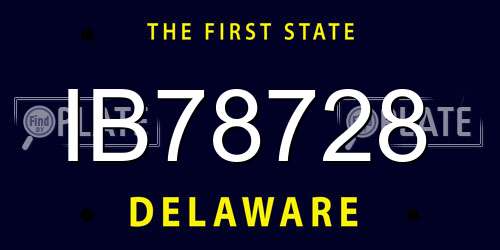 IB78728 Delaware License Plate