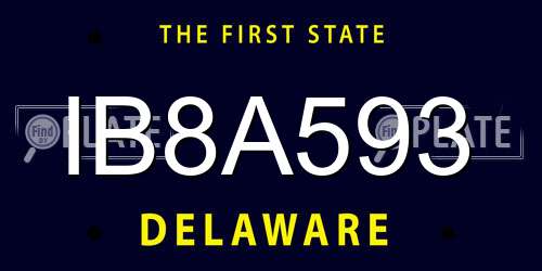 IB8A593 Delaware License Plate