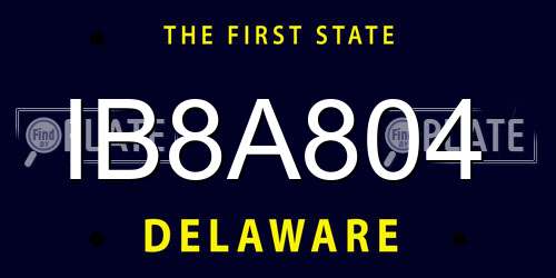 IB8A804 Delaware License Plate