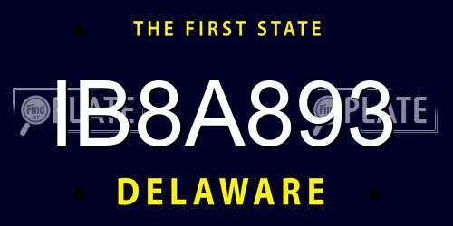 IB8A893 Delaware License Plate
