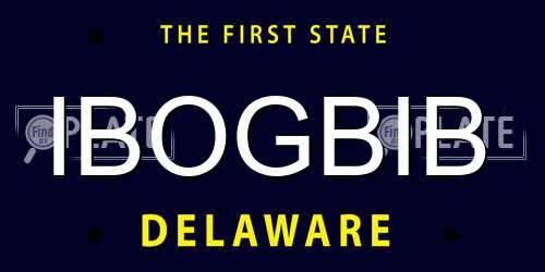 IBOGBIB Delaware License Plate