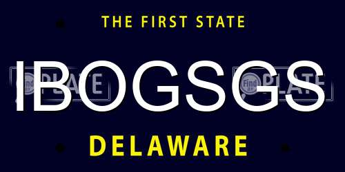 IBOGSGS Delaware License Plate