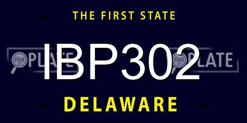 IBP302 Delaware License Plate