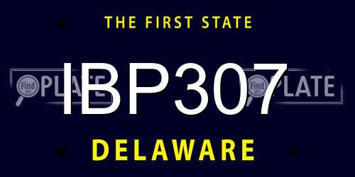 IBP307 Delaware License Plate