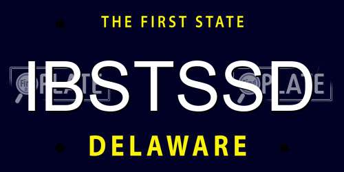 IBSTSSD Delaware License Plate