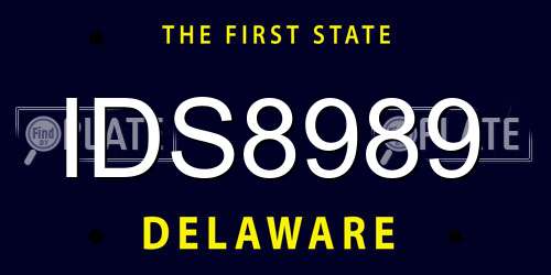 IDS8989 Delaware License Plate