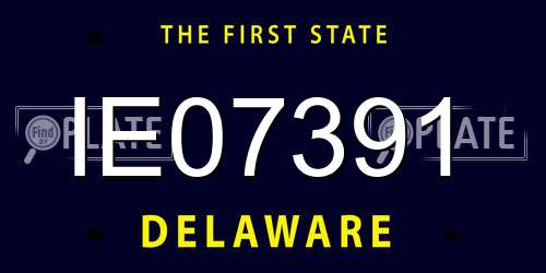 IE07391 Delaware License Plate