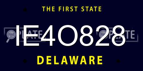 IE4O828 Delaware License Plate