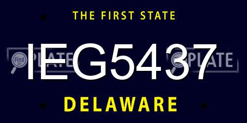 IEG5437 Delaware License Plate