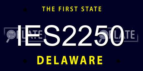 IES2250 Delaware License Plate