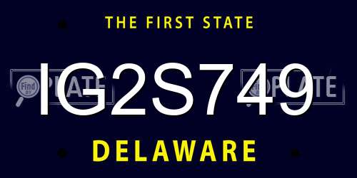 IG2S749 Delaware License Plate