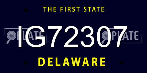 IG72307 Delaware License Plate