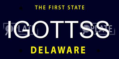IGOTTSS Delaware License Plate
