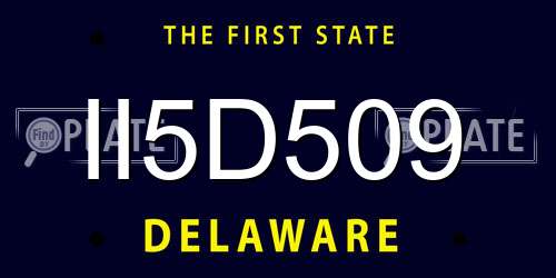 II5D509 Delaware License Plate