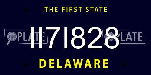 II7I828 Delaware License Plate