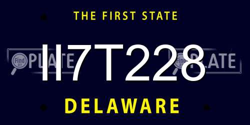 II7T228 Delaware License Plate