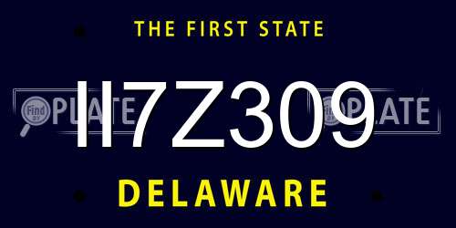 II7Z309 Delaware License Plate
