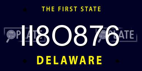 II8O876 Delaware License Plate