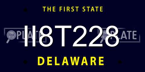 II8T228 Delaware License Plate