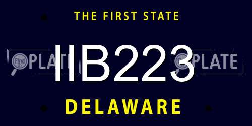 IIB223 Delaware License Plate
