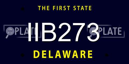 IIB273 Delaware License Plate