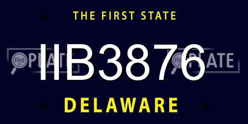 IIB3876 Delaware License Plate