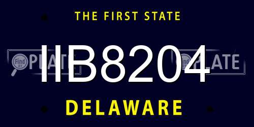 IIB8204 Delaware License Plate