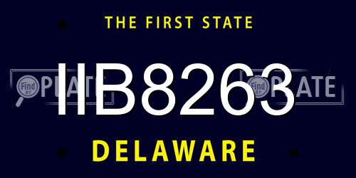 IIB8263 Delaware License Plate